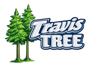 Travis Tree